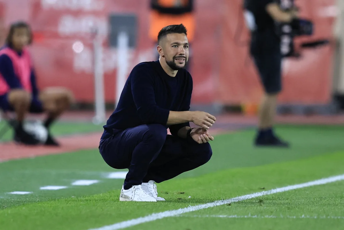 Nice manager Francesco Farioli: "We have to look at the standings as little  as possible." - Get French Football News