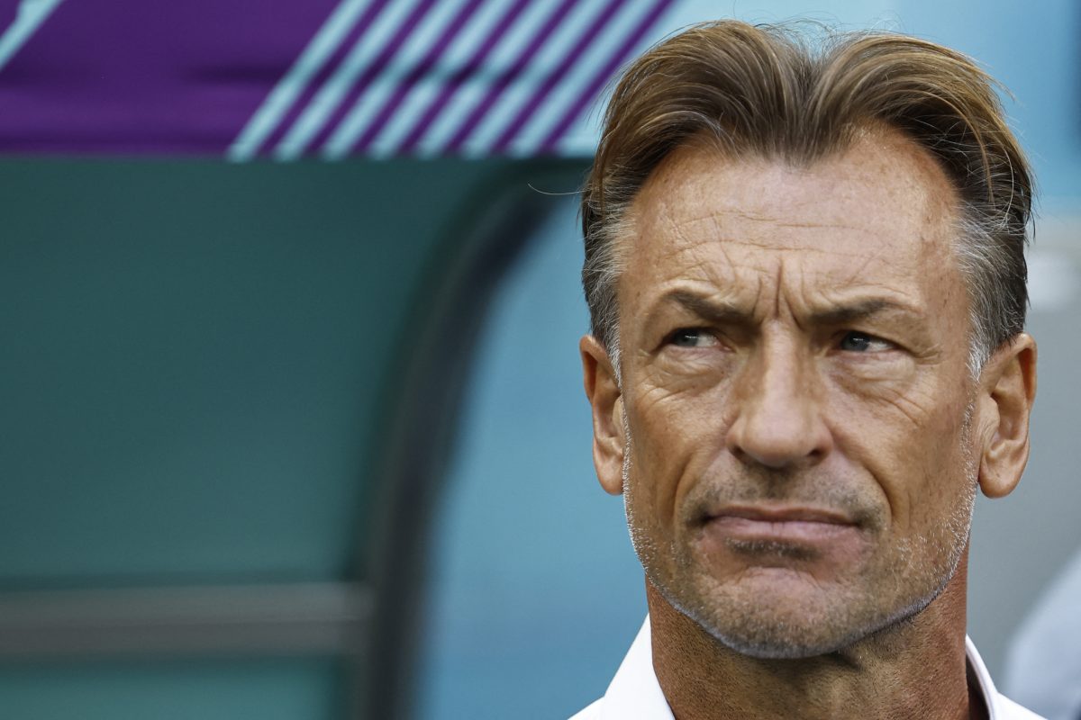 Hervé Renard Set to Coach France at Women's World Cup - The New